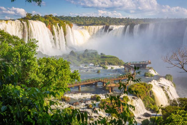 Vista panorámica de los majestuosos saltos de las Cataratas del Iguazú cayendo entre la densa vegetación tropical bajo un cielo despejado.