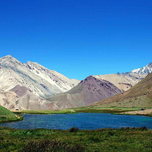 Vista panorámica de la Laguna de Horcones en el Parque Provincial Aconcagua, con praderas verdes en primer plano y montañas áridas de la Cordillera de los Andes bajo un cielo azul despejado en Mendoza.